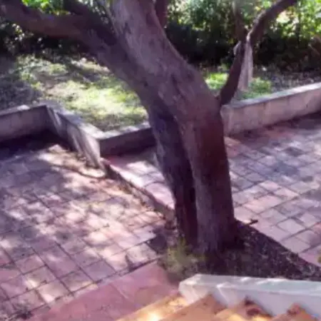 Maison Cosy Avec Vue Sur La A Pietrosella, 60 M². بيت للعطل Pietrosella